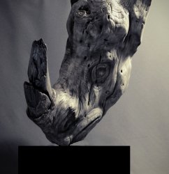 Носорог