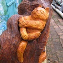 Сонное царство