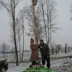 шпакі прыляцелі 