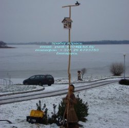 шпакі прыляцелі 