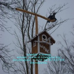 шпакі прыляцелі 