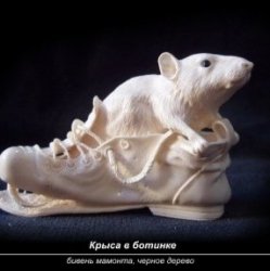 Крыса в ботинке