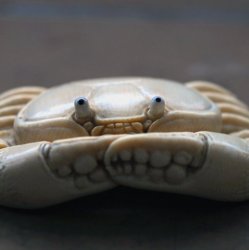 Краб Большой Белый