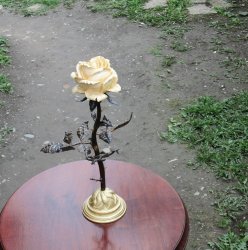 Роза (дерево)
