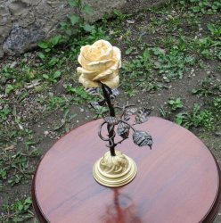 Роза (дерево)