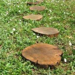Эко-плитка из дерева - Пенёчки для дорожки