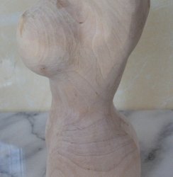 Женский торс