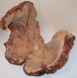 раковина