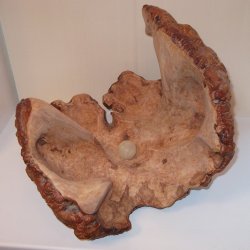 раковина