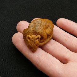 Спящая крыса