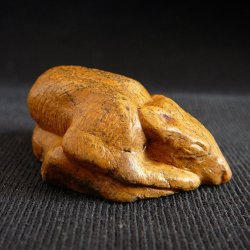 Спящая крыса