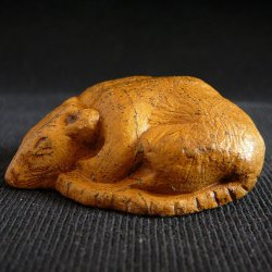 Спящая крыса
