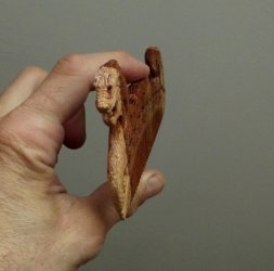 Гребешок дракон