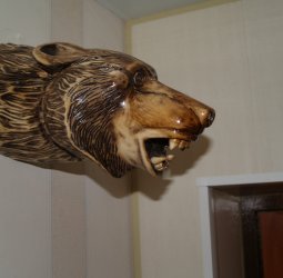 Медведь1