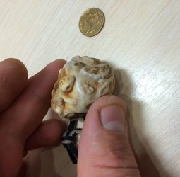 Ящерица на камне