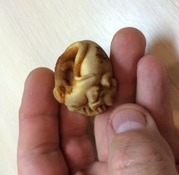 Ящерица на камне