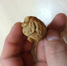 Ящерица на камне