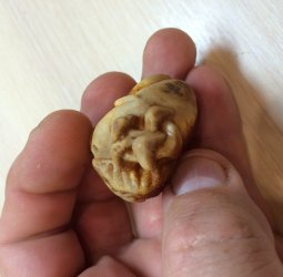 Ящерица на камне