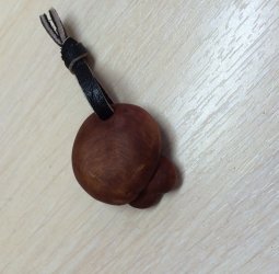 Грибы из самшита