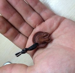 Грибы из самшита