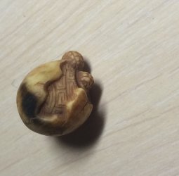 Черепашка в яйце
