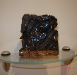 Джунгли