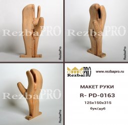 Макет руки R-PD-0163