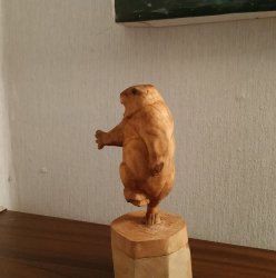 Сурок