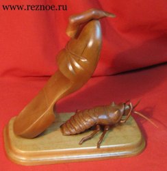 Женский взгляд на тараканов и мужчин