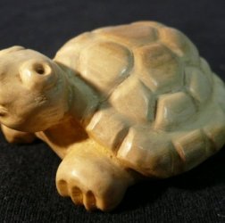 Черепаха   2009