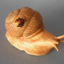 Улитка