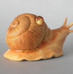 Улитка