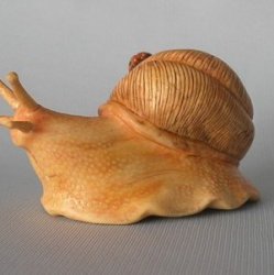 Улитка