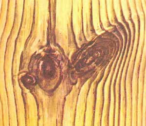 Какие бывают пороки древесины